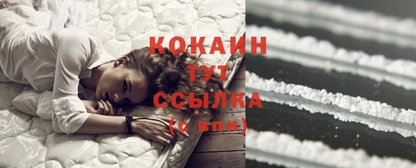 крисы Карталы