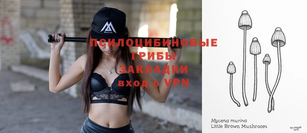 крисы Карталы