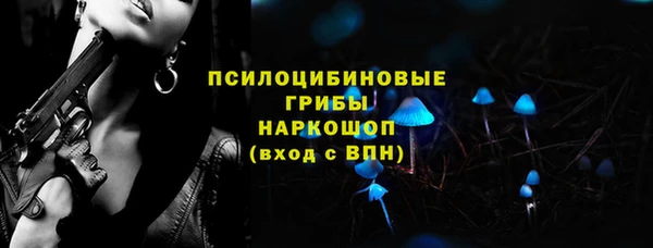 крисы Карталы