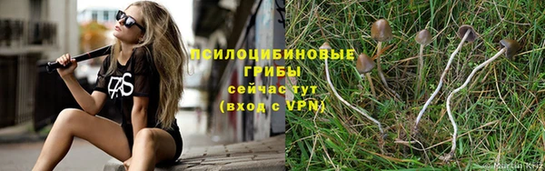 крисы Карталы