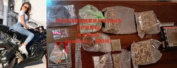 крисы Карталы