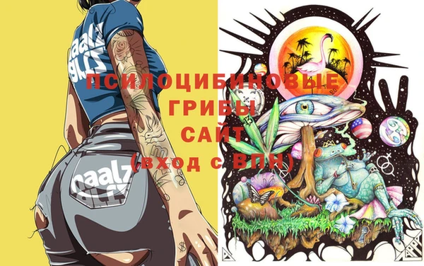 крисы Карталы