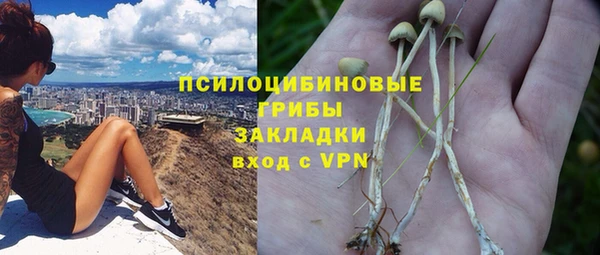 крисы Карталы