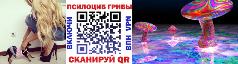 Галлюциногенные грибы Psilocybe  Купить закладки  Бор 