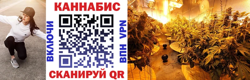 Купить закладки  Бор  Конопля планчик 